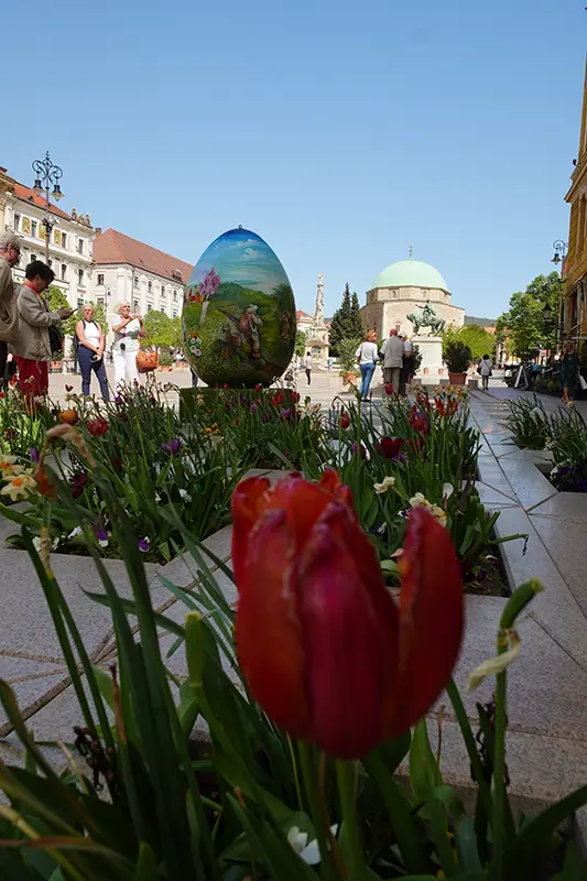 Hímes tojás a Széchenyi téren