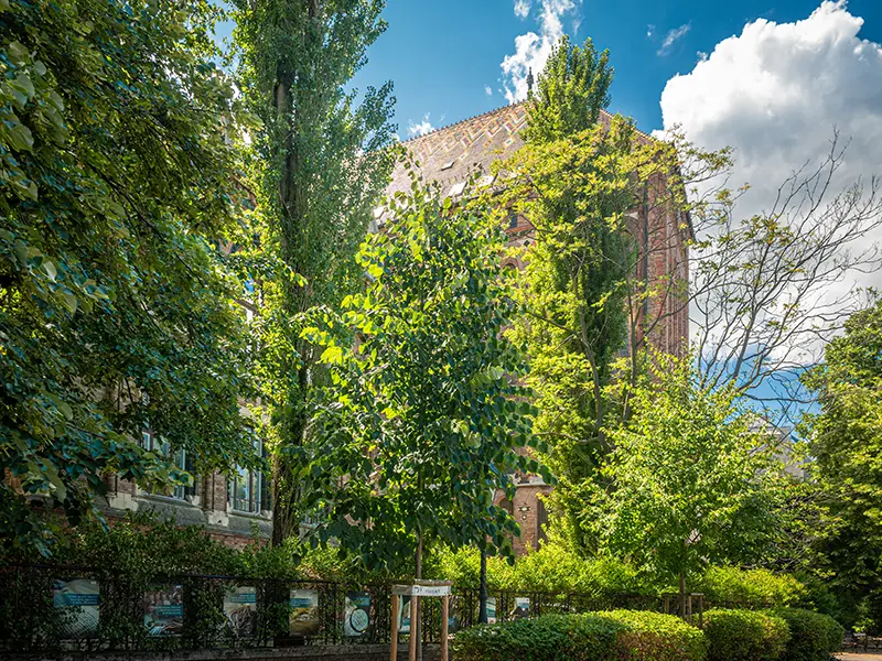 A levéltár a várfal felől nézve