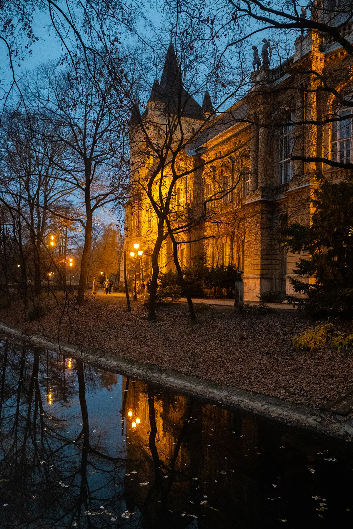A vizesárokban visszatükröződnek a Vajdahunyadvárát megvilágító fények
