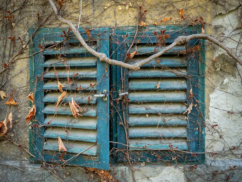 Egy magányos ablak a füvészkertben