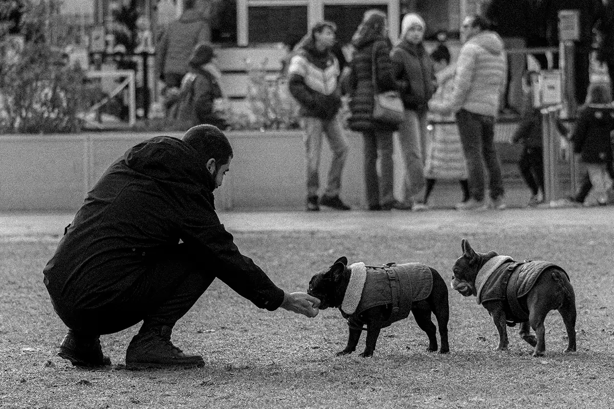 Férfi a kutyával játszik az Erzsébet téren