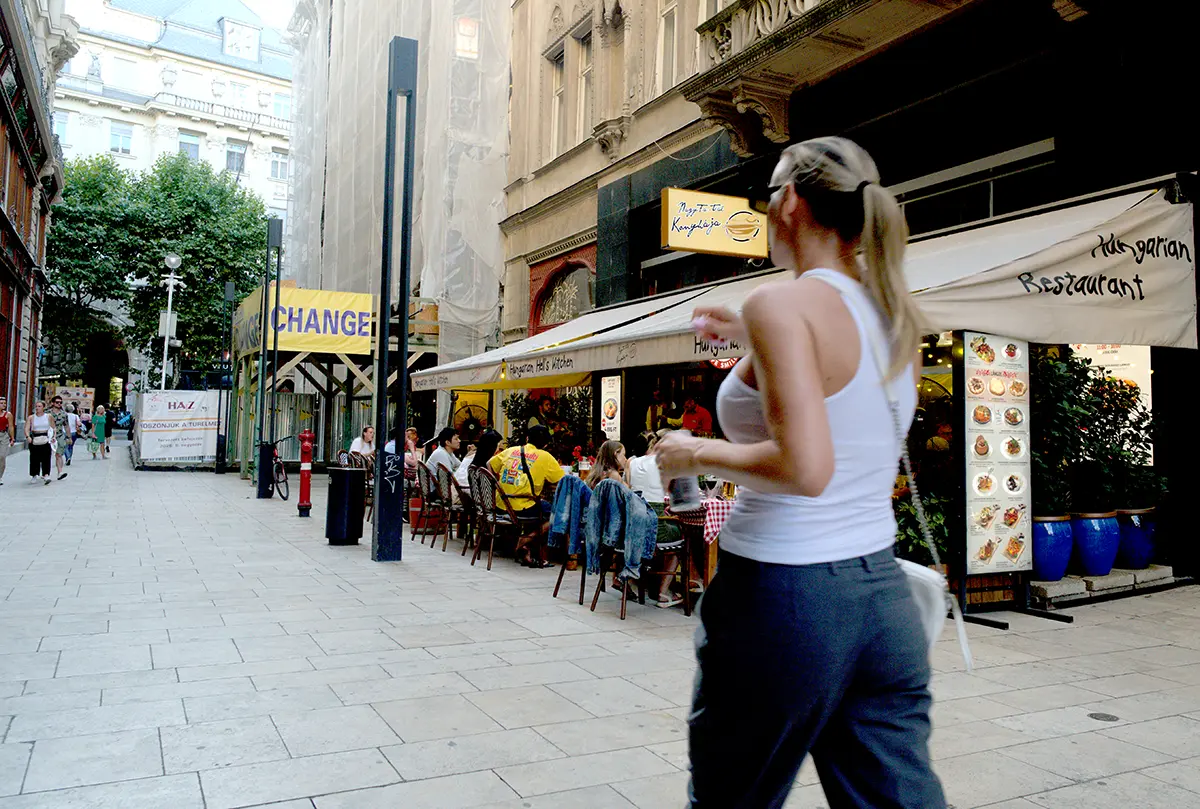 A Kígyó utca a belvárosban