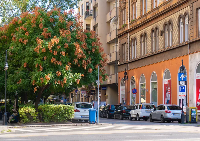 A Tompa utca a körútnál