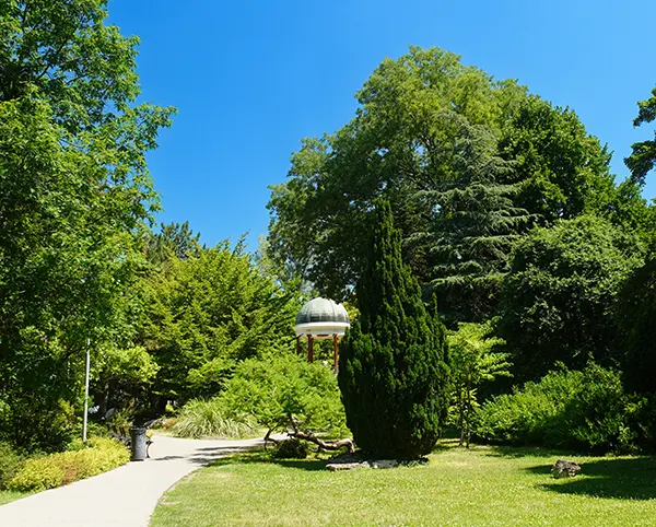 A fák között megbúvó zenélő kút